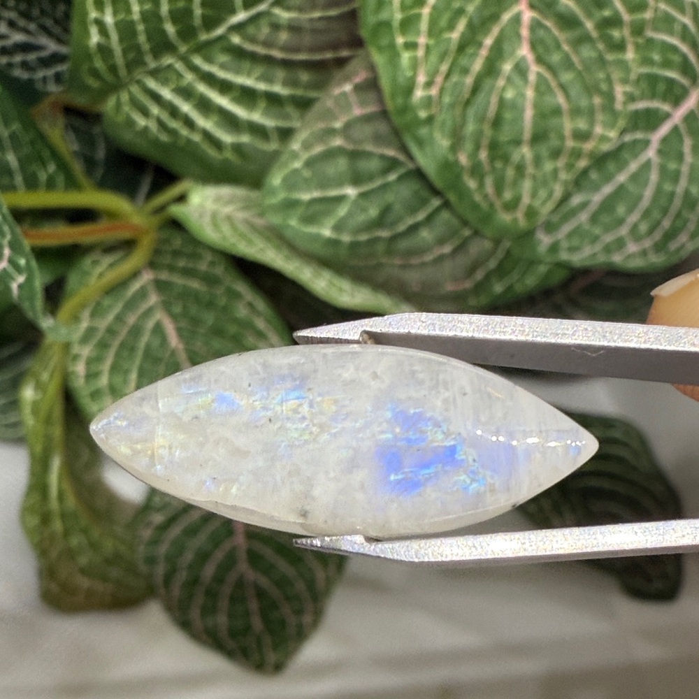 Rainbow Moonstone Cabochon